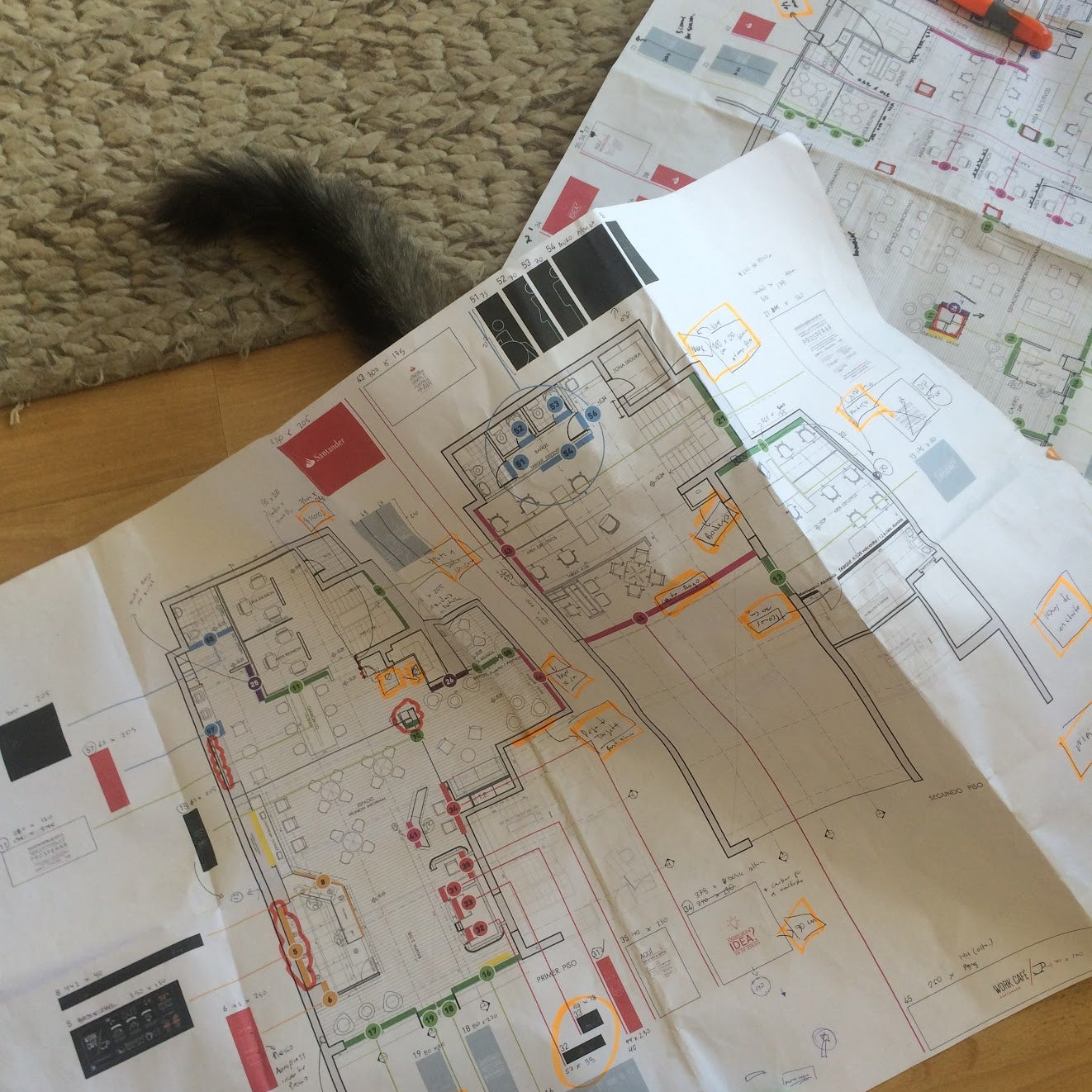 Así es el gato se escondia en nuestros planos....